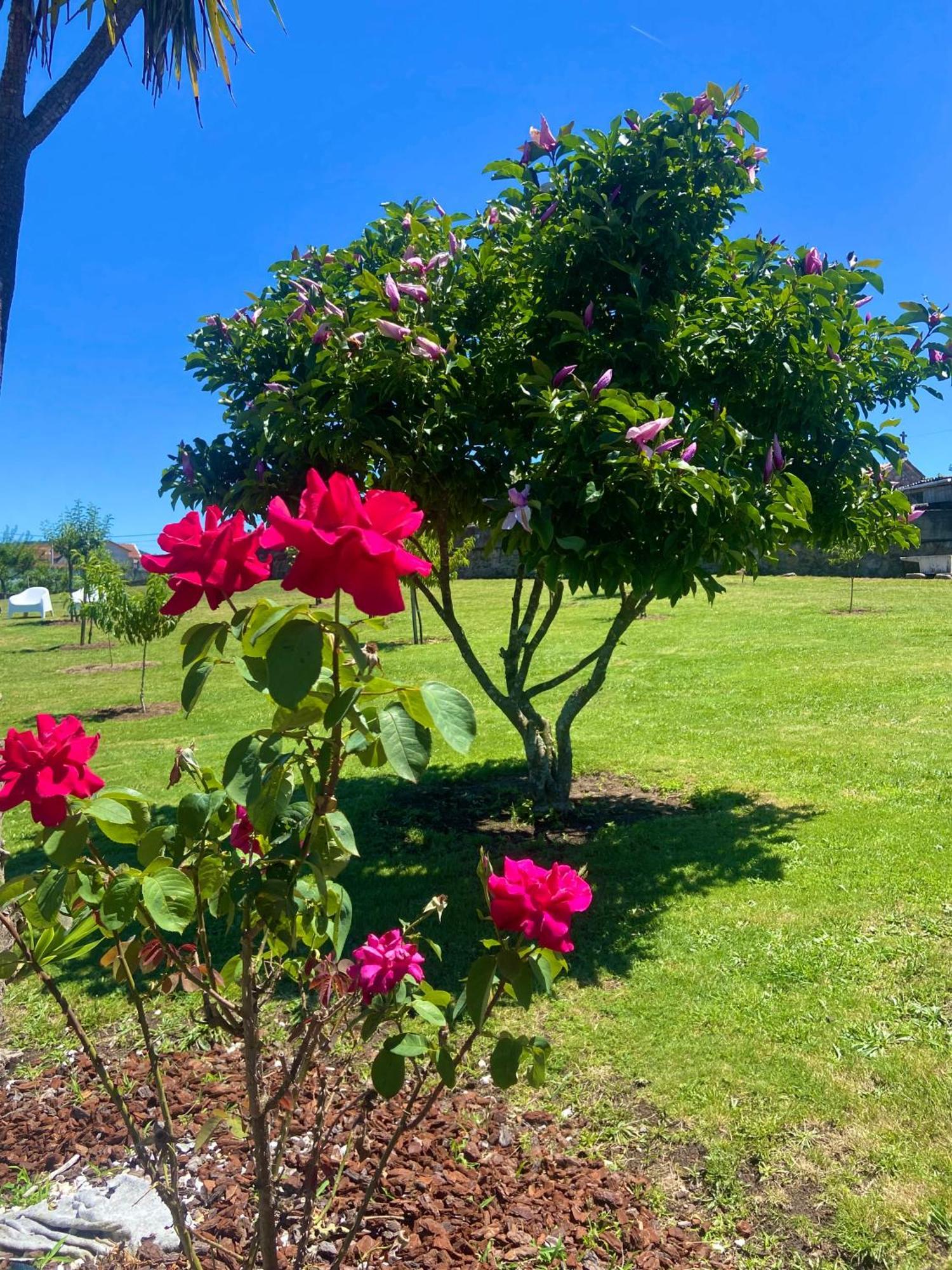 O Eido Da Barreira Holiday home *