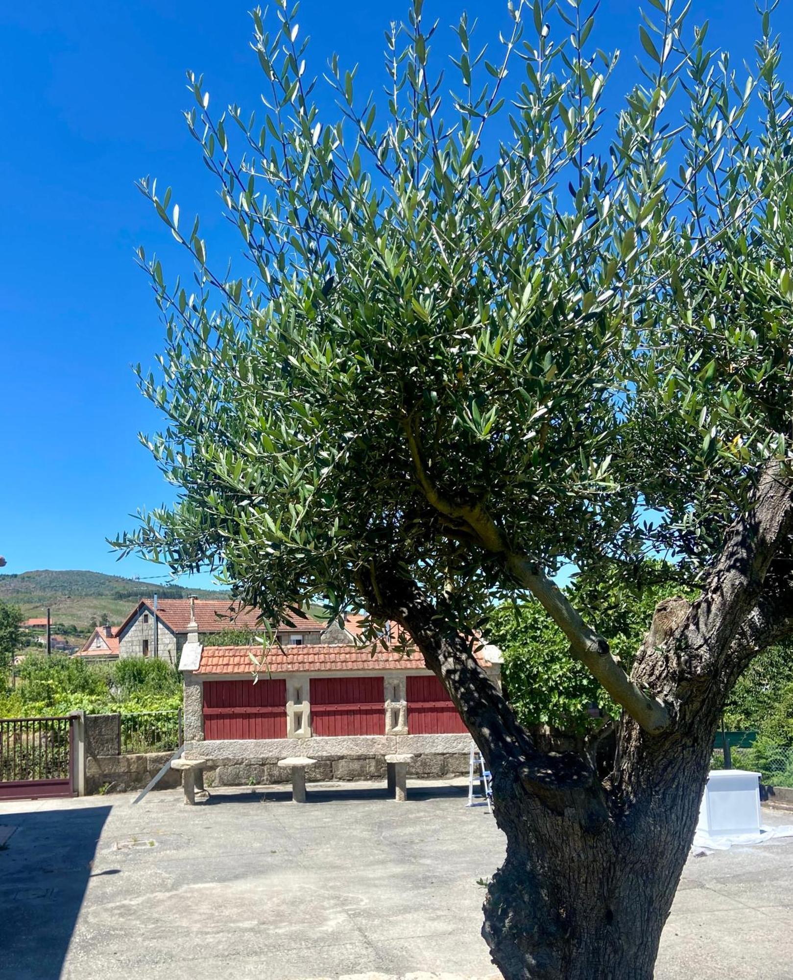 O Eido Da Barreira Holiday home